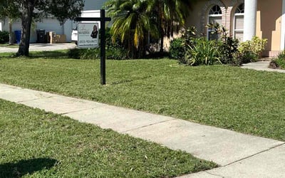 Photo of Ann-Maria C.'s yard after getting lawn care in Dover, FL