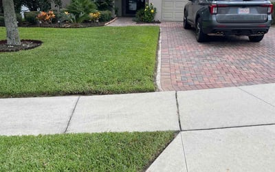 Photo of Shawn M.'s yard after getting lawn care in Eureka, CA