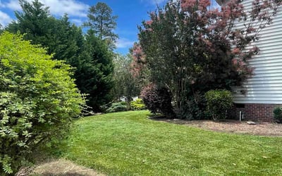 Photo of Dexter R.'s yard after getting lawn care in Hillsborough, NC