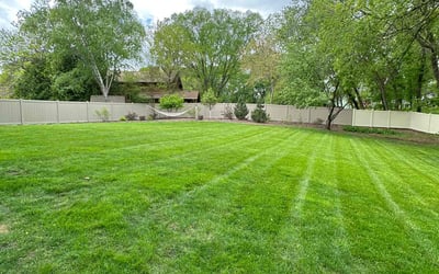 Photo of Deborah S.'s yard after getting lawn care in Minnetonka, MN