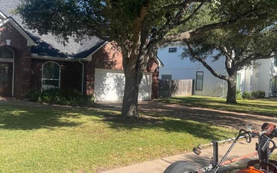 Photo of Diane T.'s yard after getting lawn care in Jarrell, TX