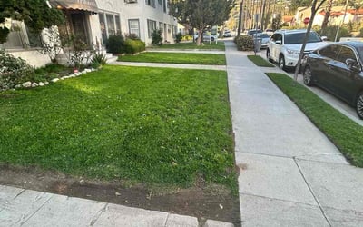 Photo of Krishna G.'s yard after getting lawn care in Glendale, CA