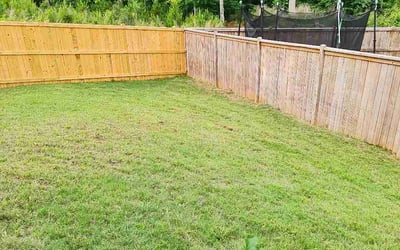 Photo of Cherylann C.'s yard after getting lawn care in Lumberton, NC