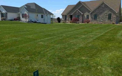 Photo of David V.'s yard after getting lawn care in Wadsworth, OH