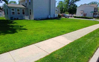 Photo of Marjie M.'s yard after getting lawn care in Mundelein, IL
