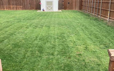 Photo of Gary B.'s yard after getting lawn care in Monterey, CA