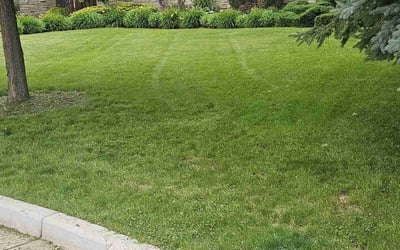 Photo of Adam N.'s yard after getting lawn care in Grafton, WI