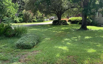Photo of Dominic G.'s yard after getting lawn care in Irwin, PA