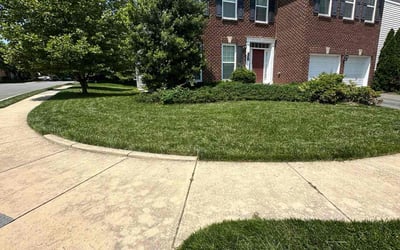 Photo of Chris R.'s yard after getting lawn care in Mesquite, TX