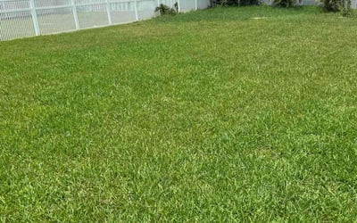 Photo of Jennifer S.'s yard after getting lawn care in West Milford, NJ
