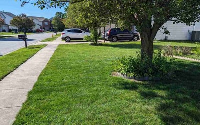 Photo of Nicholas S.'s yard after getting lawn care in Brownsburg, IN