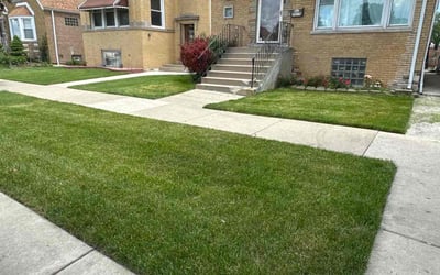 Photo of Teresa R.'s yard after getting lawn care in Cicero, IL
