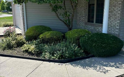 Photo of Sara S.'s yard after getting lawn care in Granada Hills, CA