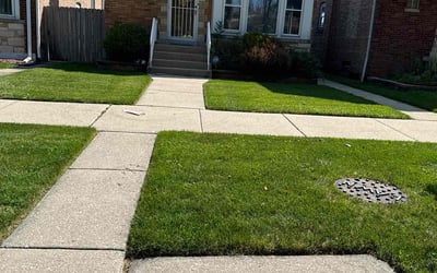 Photo of Eric H.'s yard after getting lawn care in Mchenry, IL