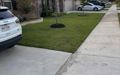 Photo of Danielle A.'s yard after getting lawn care in Fontana, CA