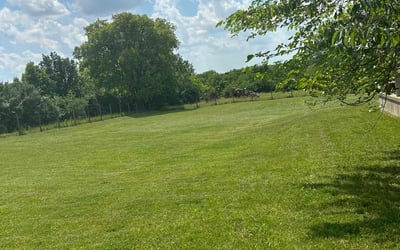 Photo of Rachel H.'s yard after getting lawn care in Trenton, OH