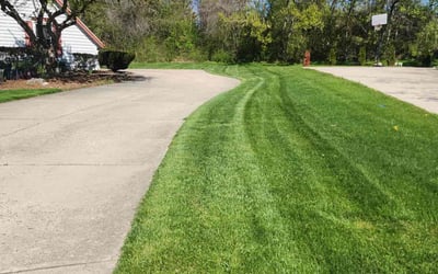 Photo of Kelly S.'s yard after getting lawn care in Irving, TX
