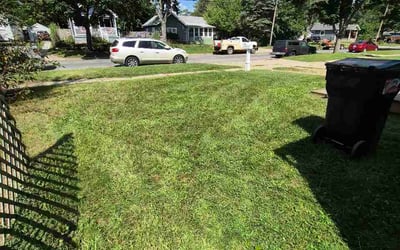 Photo of Dave H.'s yard after getting lawn care in Inver Grove Heights, MN