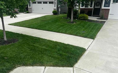 Photo of Mary T.'s yard after getting lawn care in Deptford, NJ