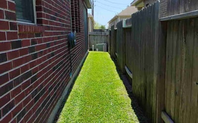 Photo of Judy B.'s yard after getting lawn care in West Columbia, TX