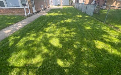 Photo of Brandon B.'s yard after getting lawn care in Palos Hills, IL