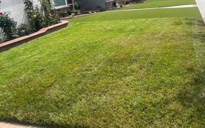Photo of Ashu A.'s yard after getting lawn care in Long Beach, CA