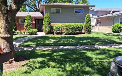 Photo of Evan O.'s yard after getting lawn care in Park Ridge, IL