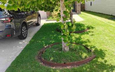 Photo of Vincent B.'s yard after getting lawn care in Pinellas Park, FL