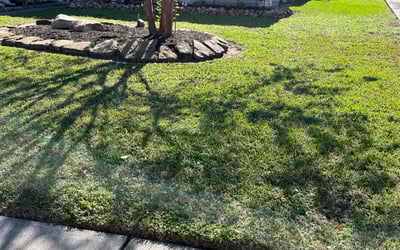 Photo of Frank C.'s yard after getting lawn care in Chester, PA