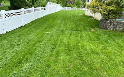 Photo of Joe M.'s yard after getting lawn care in Hilliard, OH