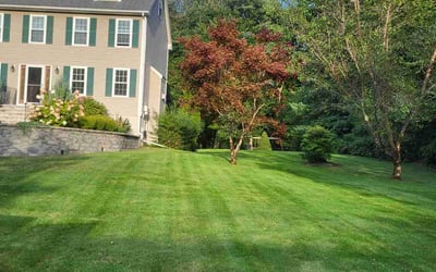 Photo of Kyle m.'s yard after getting lawn care in Billerica, MA
