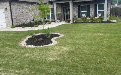 Photo of Mike W.'s yard after getting lawn care in Madison, AL