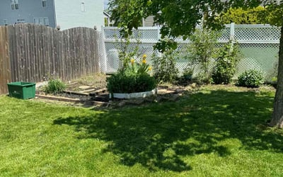 Photo of Bailey M.'s yard after getting lawn care in Hickory Hills, IL