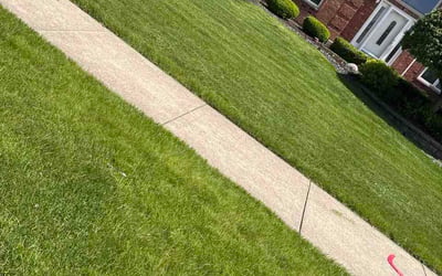 Photo of Juliana A.'s yard after getting lawn care in Amesbury, MA