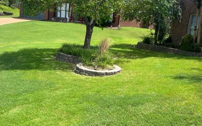 Photo of Jan B.'s yard after getting lawn care in Ashland, KY