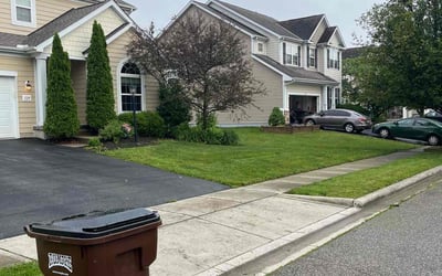 Photo of Alyssa M.'s yard after getting lawn care in Alvin, TX