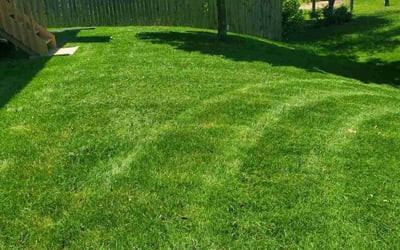 Photo of James H.'s yard after getting lawn care in Cornelius, NC