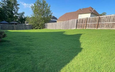Photo of Roberta T.'s yard after getting lawn care in Hixson, TN