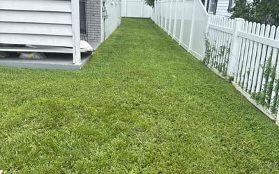 Photo of Bryan B.'s yard after getting lawn care in Glenolden, PA