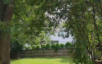 Photo of Kiyah L.'s yard after getting tree care in Lithia Springs, GA