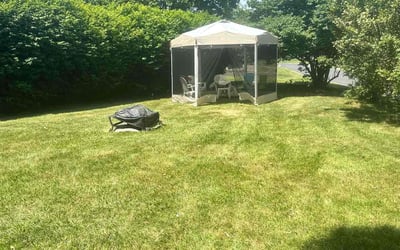 Photo of Melanie W.'s yard after getting lawn care in Glenside, PA