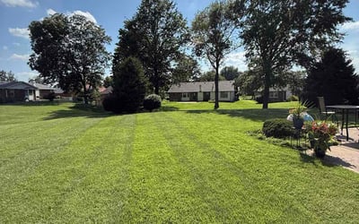 Photo of Diane A.'s yard after getting lawn care in Raymore, MO