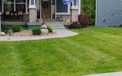 Photo of Patricia J.'s yard after getting lawn care in Brentwood, NY