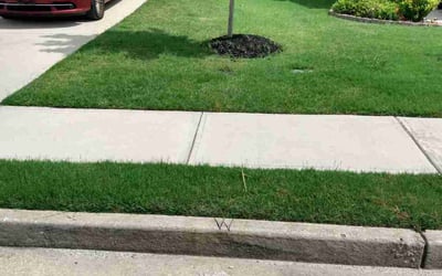 Photo of Nicholas C.'s yard after getting lawn care in Riverview, FL