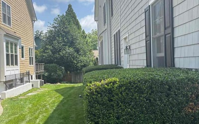 Photo of Sharon C.'s yard after getting lawn care in Marysville, WA
