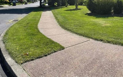 Photo of Pedro F.'s yard after getting lawn care in Easton, PA