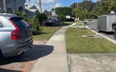 Photo of Seby V.'s yard after getting lawn care in Longwood, FL