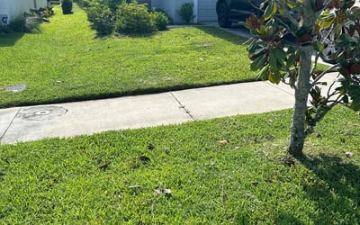 Photo of Dave B.'s yard after getting lawn care in Valley Stream, NY