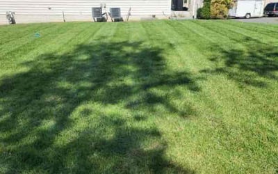 Photo of Chris M.'s yard after getting lawn care in Gainesville, VA