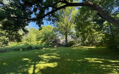Photo of Anthony N.'s yard after getting lawn care in Inkster, MI